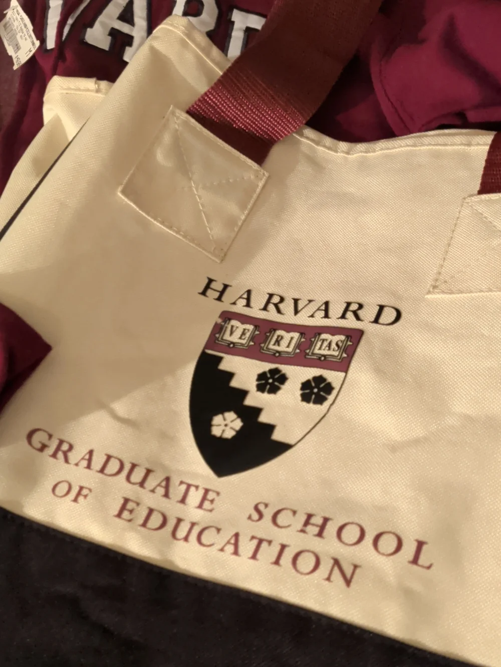 Harvard Combo- Hoodie And Bag